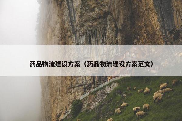 药品物流建设方案（药品物流建设方案范文）
