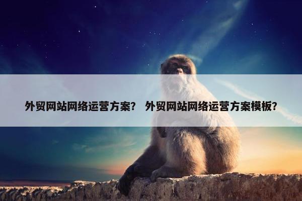 外贸网站网络运营方案？ 外贸网站网络运营方案模板？