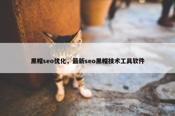 黑帽seo优化，最新seo黑帽技术工具软件