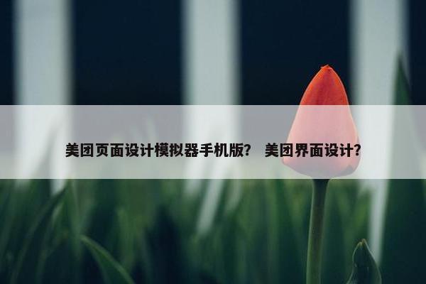 美团页面设计模拟器手机版? 美团界面设计? 美团页面设计模拟器手机版? 美团界面设计?