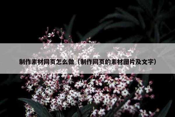 制作素材网页怎么做（制作网页的素材图片及文字）
