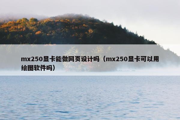 mx250显卡能做网页设计吗（mx250显卡可以用绘图软件吗）