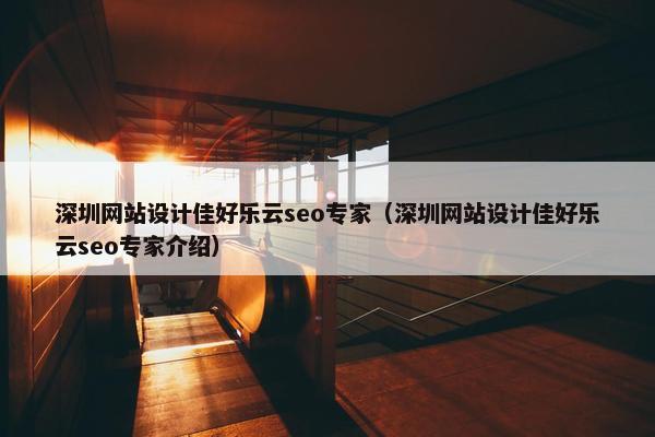 深圳网站设计佳好乐云seo专家（深圳网站设计佳好乐云seo专家介绍）
