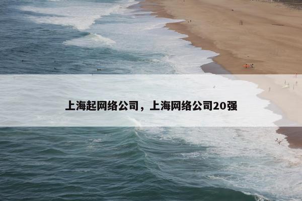 上海起网络公司，上海网络公司20强