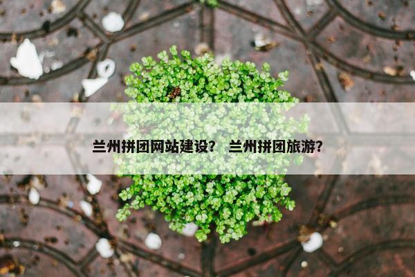 兰州拼团网站建设？ 兰州拼团旅游？