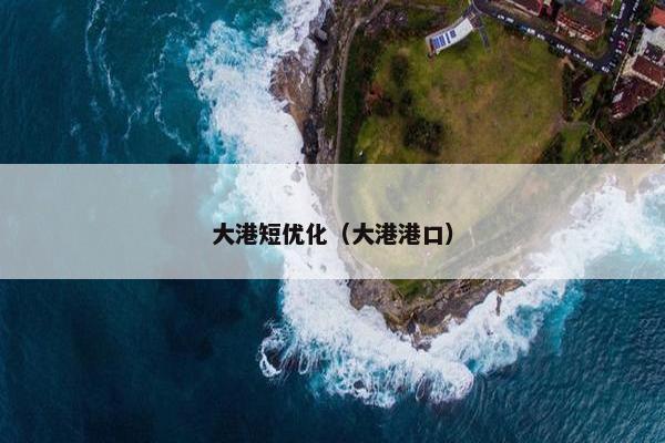 大港短优化（大港港口）