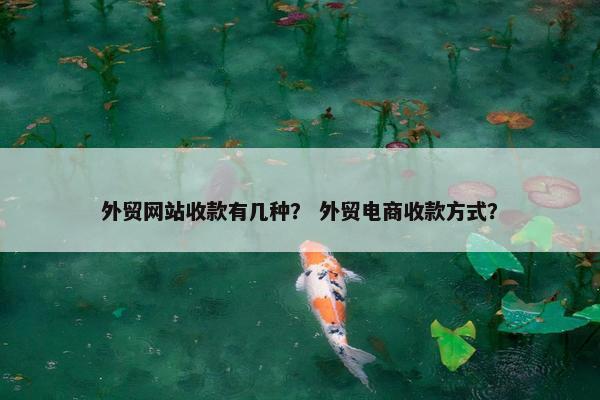 外贸网站收款有几种？ 外贸电商收款方式？