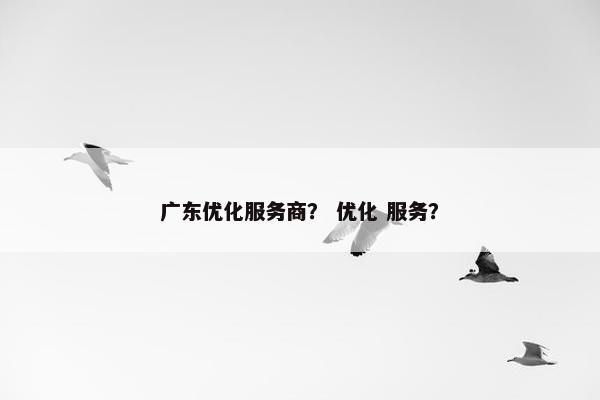广东优化服务商？ 优化 服务？