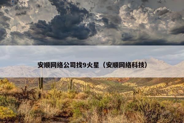 安顺网络公司找9火星（安顺网络科技）
