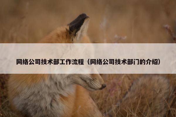 网络公司技术部工作流程（网络公司技术部门的介绍）