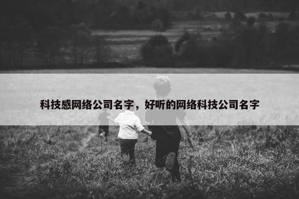 科技感网络公司名字，好听的网络科技公司名字