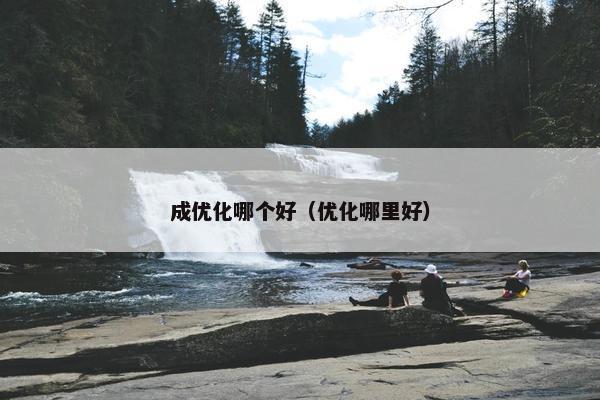 成优化哪个好（优化哪里好）