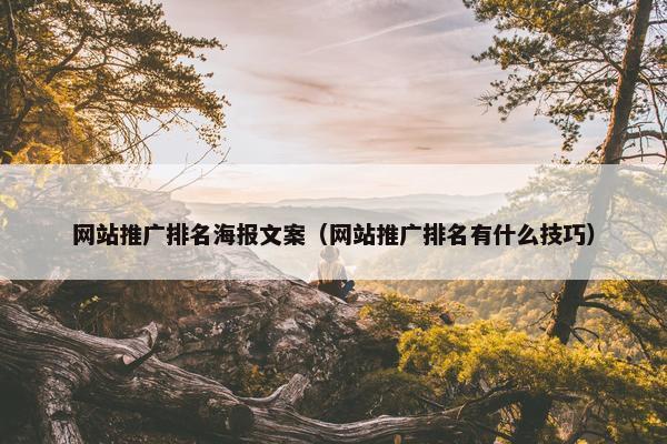网站推广排名海报文案（网站推广排名有什么技巧）