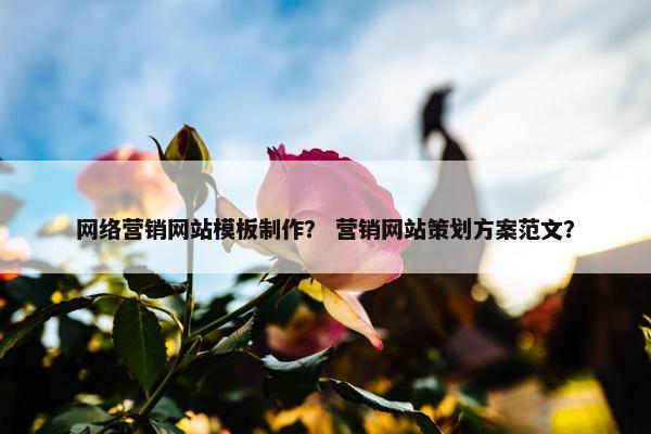 网络营销网站模板制作？ 营销网站策划方案范文？