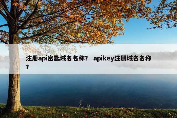 注册api密匙域名名称？ apikey注册域名名称？