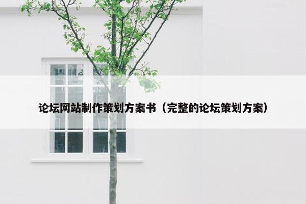 论坛网站制作策划方案书（完整的论坛策划方案）