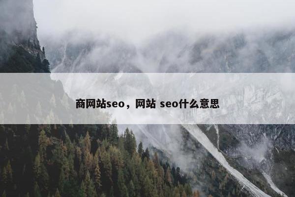 商网站seo,网站 seo什么意思 商网站seo,网站 seo什么意思