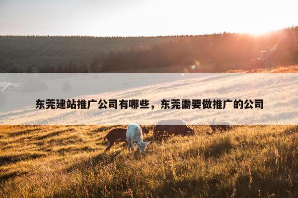 东莞建站推广公司有哪些,东莞需要做推广的公司 东莞建站推广公司有哪些,东莞需要做推广的公司