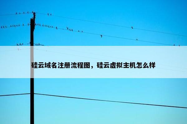 硅云域名注册流程图，硅云虚拟主机怎么样