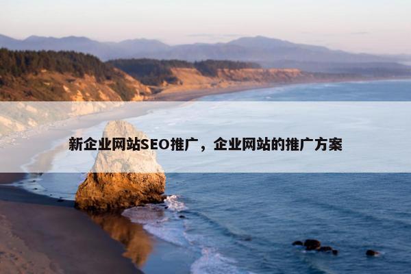 新企业网站SEO推广，企业网站的推广方案