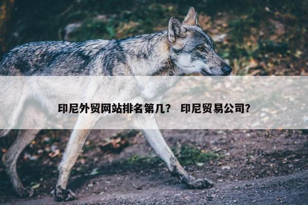 印尼外贸网站排名第几? 印尼贸易公司? 印尼外贸网站排名第几? 印尼贸易公司?