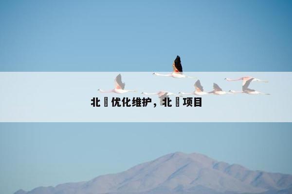 北滘优化维护,北滘项目 北滘优化维护,北滘项目