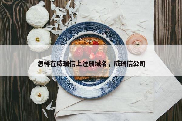 怎样在威瑞信上注册域名，威瑞信公司