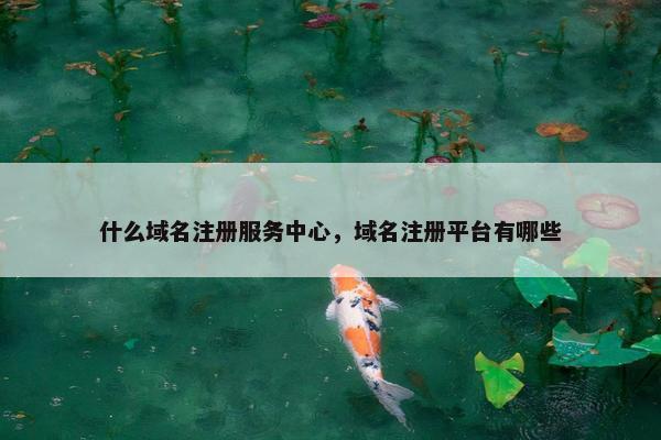什么域名注册服务中心，域名注册平台有哪些