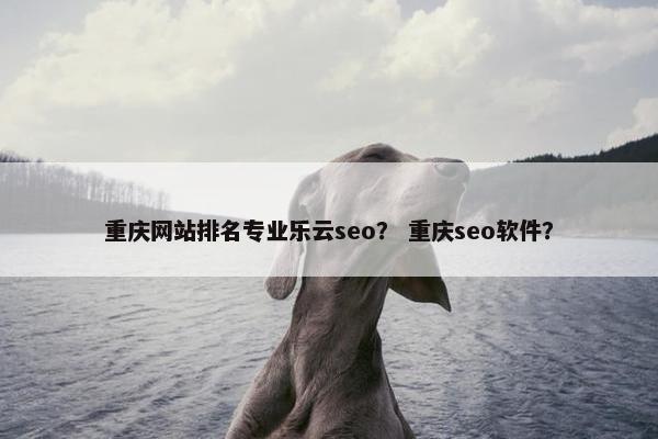 重庆网站排名专业乐云seo？ 重庆seo软件？
