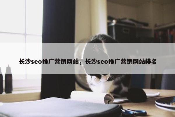 长沙seo推广营销网站，长沙seo推广营销网站排名
