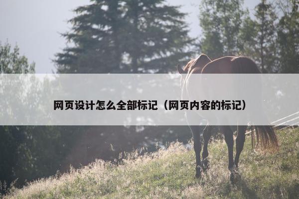 网页设计怎么全部标记（网页内容的标记）