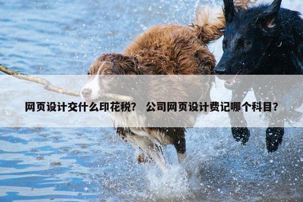 网页设计交什么印花税？ 公司网页设计费记哪个科目？
