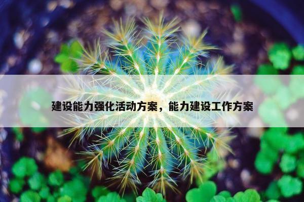 建设能力强化活动方案，能力建设工作方案