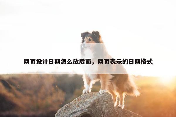 网页设计日期怎么放后面，网页表示的日期格式