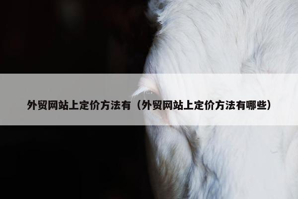外贸网站上定价方法有（外贸网站上定价方法有哪些）
