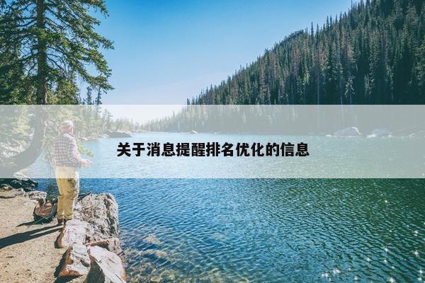 关于消息提醒排名优化的信息