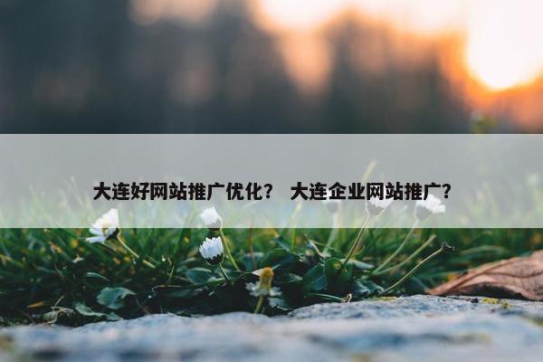 大连好网站推广优化？ 大连企业网站推广？