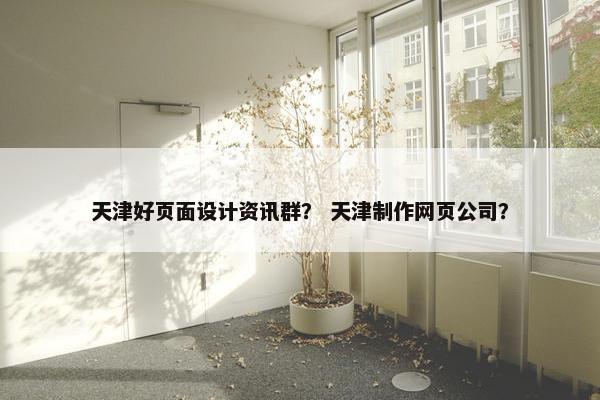 天津好页面设计资讯群？ 天津制作网页公司？