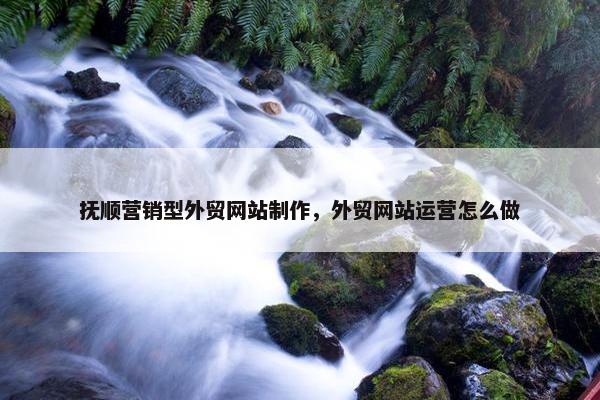 抚顺营销型外贸网站制作，外贸网站运营怎么做