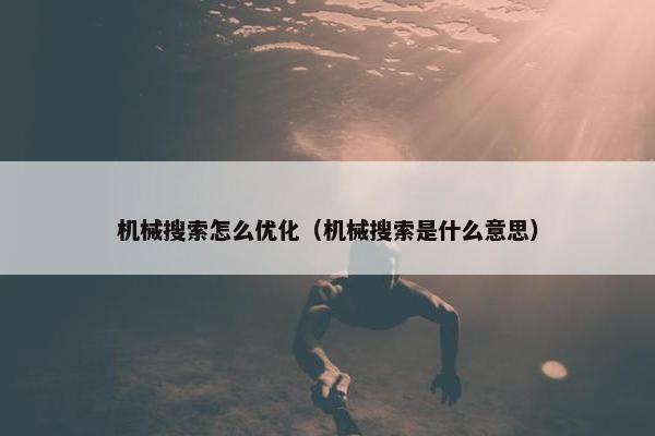机械搜索怎么优化（机械搜索是什么意思）