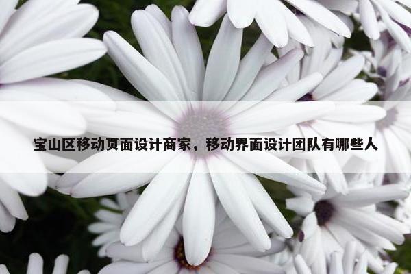 宝山区移动页面设计商家，移动界面设计团队有哪些人