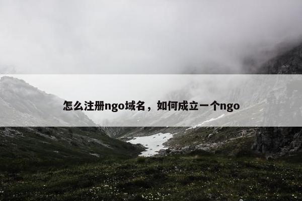 怎么注册ngo域名，如何成立一个ngo