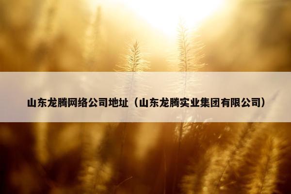 山东龙腾网络公司地址（山东龙腾实业集团有限公司）