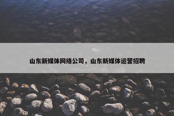 山东新媒体网络公司，山东新媒体运营招聘