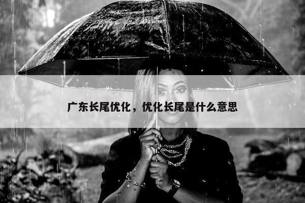 广东长尾优化，优化长尾是什么意思
