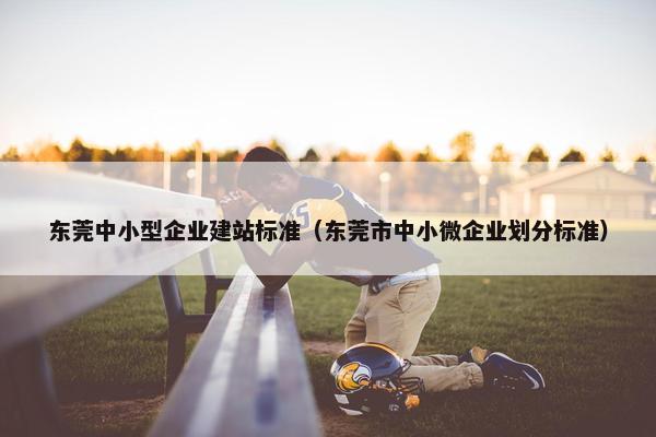 东莞中小型企业建站标准（东莞市中小微企业划分标准）