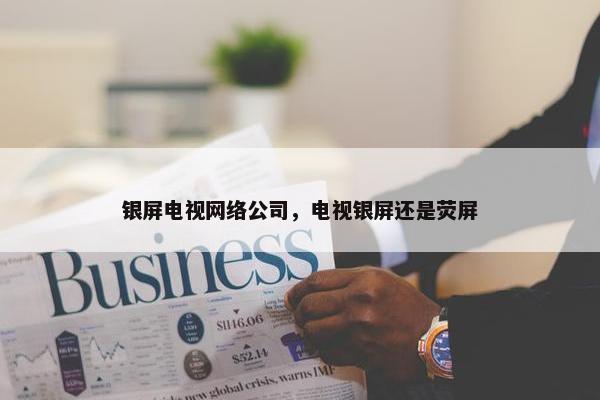 银屏电视网络公司，电视银屏还是荧屏