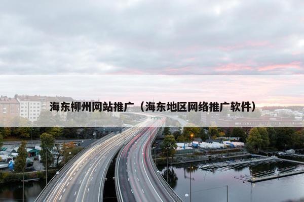 海东柳州网站推广（海东地区网络推广软件）