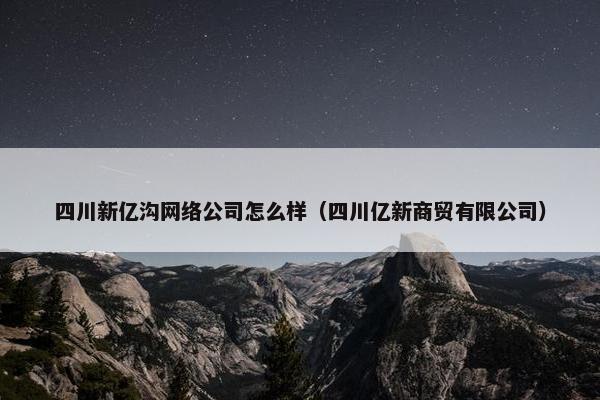 四川新亿沟网络公司怎么样（四川亿新商贸有限公司）