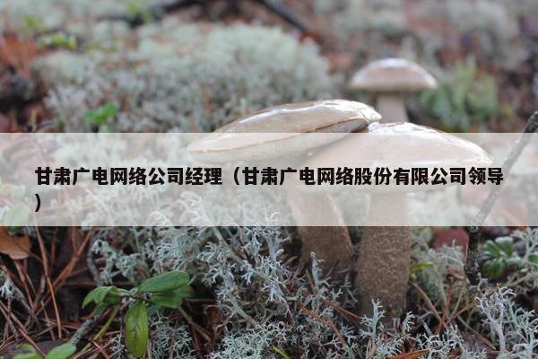 甘肃广电网络公司经理（甘肃广电网络股份有限公司领导）